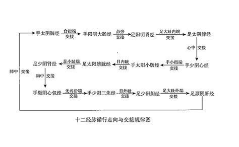 十二經絡口訣|十二经脉穴位速记口诀